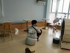 -喵宠乐园·撸猫互动·猫舍