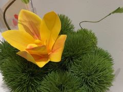 -阿五黄河大鲤鱼(纬三路店)