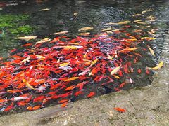 -水磨沟公园