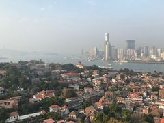 -猫咪博物馆(顶澳仔猫街店)