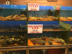 -真浪花园海鲜餐馆