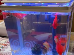 -海底捞火锅(武胜路凯德广场店)