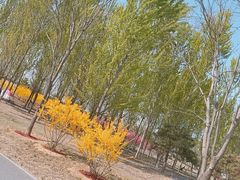 -东郊湿地公园