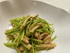 -南山酒肆(南山董事绘店)