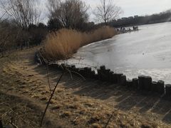 -大兴滨河森林公园