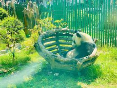 -大连森林动物园