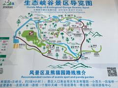 -中国大熊猫保护研究中心雅安碧峰峡基地