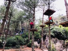 -梦幻奥陶纪景区