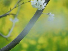 -中国天府农业博览园