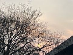 -循礼门鲜花花市(武汉循礼门店)