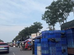 -北京新发地农产品批发市场-特菜交易厅