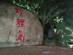 -野狸岛