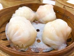 虾饺-富豪酒家(正大广场店)
