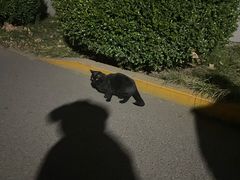 -中国石油大学（北京）(西校区)