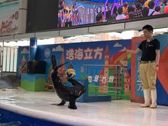 -成都浩海立方海洋公园