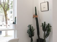 用餐区-收获咖啡HARVEST RESERVE(苍山店)