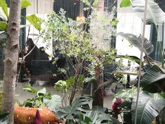 -IL Forno 意坊·意大利餐厅(花园店)