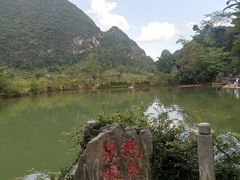 -靖西鹅泉风景区