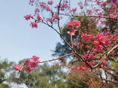 -广州市白云山风景名胜区