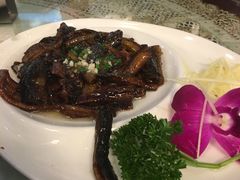 -新聚丰菜馆(太监弄店)