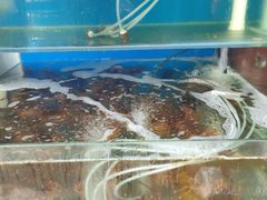 水产区-京深海鲜市场(光彩路店)