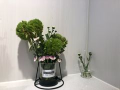 -夏叶茶(大光明店)