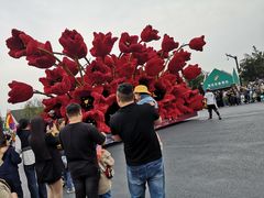 -荷兰花海
