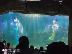 -嘉兴海底世界