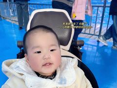 -多彩贵州城极地海洋世界