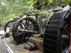 -四会奇石河风景区