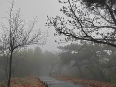 -北京十三陵国家森林公园蟒山景区