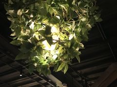 -胡桃里音乐酒馆(白云五号T5 MALL店)