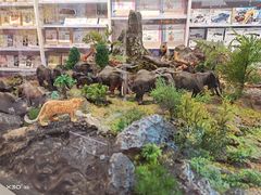 -KKV(深圳宏发大仟里店)