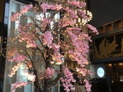 -成都安仁福朋喜来登酒店