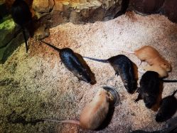 -酷嗒动物文化乐园(cutezoo西溪乐天城店)