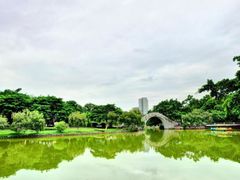 -金砂公园