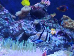 -成都浩海立方海洋公园