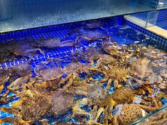 -驻海渔市(置信店)