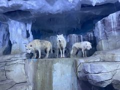 -多彩贵州城极地海洋世界