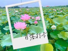 -嘉北郊野公园