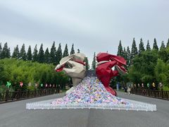 -黄海国家森林公园