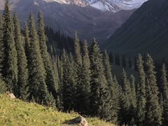 -新疆那拉提国家旅游度假区