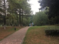 -中央公园(苏州工业园区)