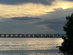 -宝安西湾红树林湿地公园