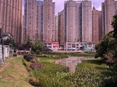 -花果园湿地公园
