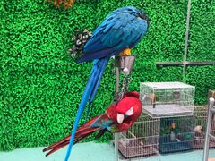 -陕西自然博物馆