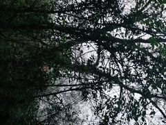 -大蜀山国家森林公园