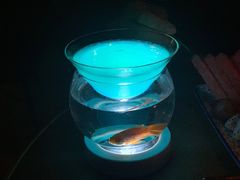 -Joy酒隐(西湖店)