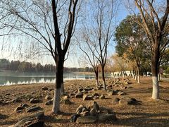 -苏州东太湖生态园