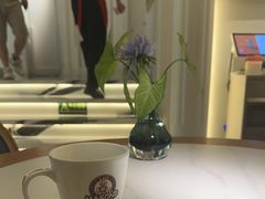 -Mezomd曼索蒂西班牙餐厅(广粤店)